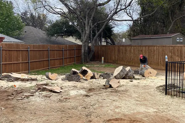 Preventing Damage & Pests with Tree Stump Removal