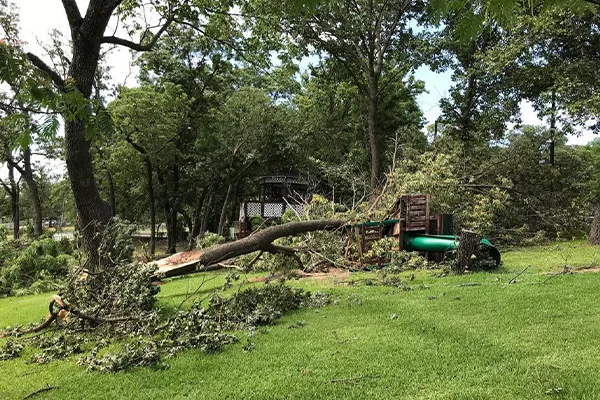 Emergency Tree Services Dallas Collin Denton County
